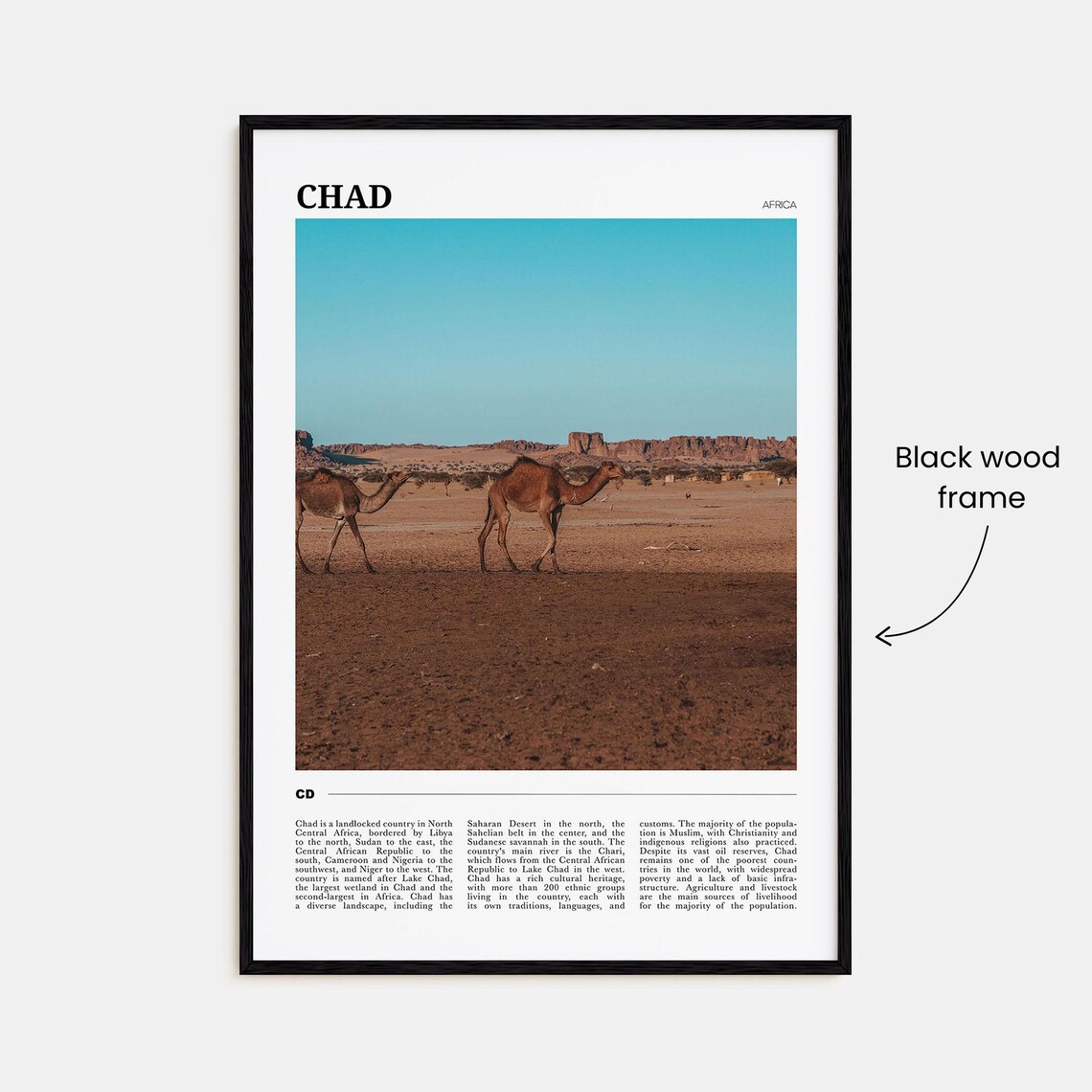 Chad Africa Camels Desert Sahara Landscape Photo Travel Poster - Image 2