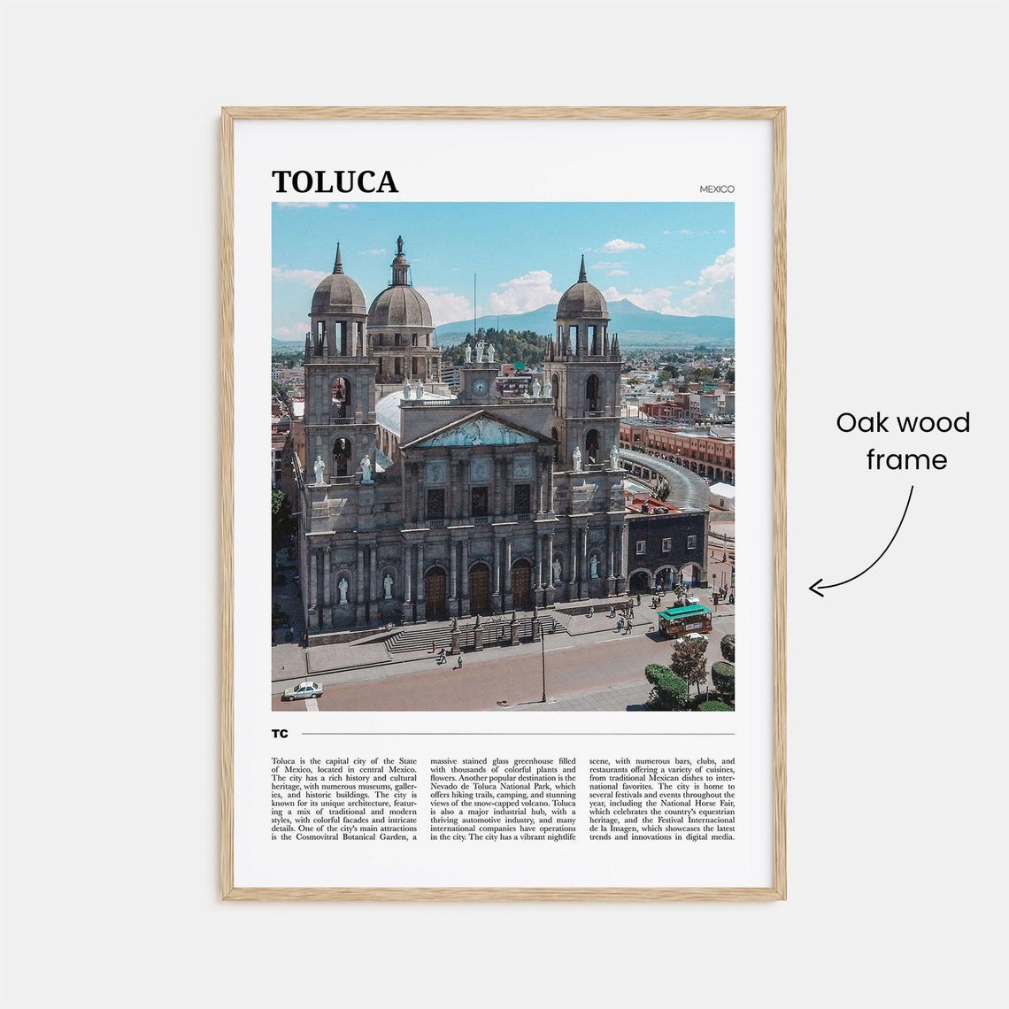 Toluca Mexico Historic Cathedral Domes Colonial Downtown Travel Poster - Image 3