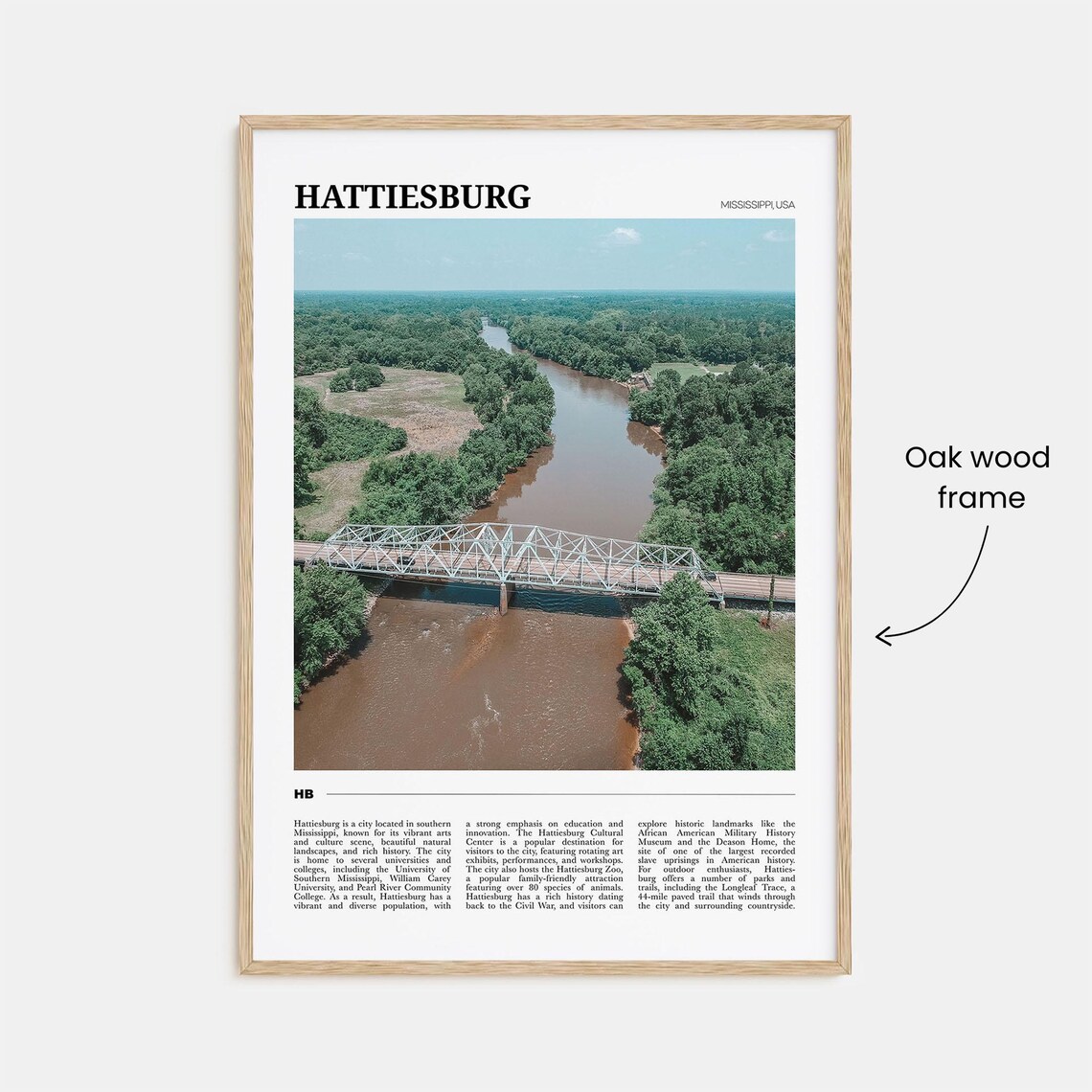 Hattiesburg Mississippi USA River Truss Bridge Forest Travel Poster - Image 3
