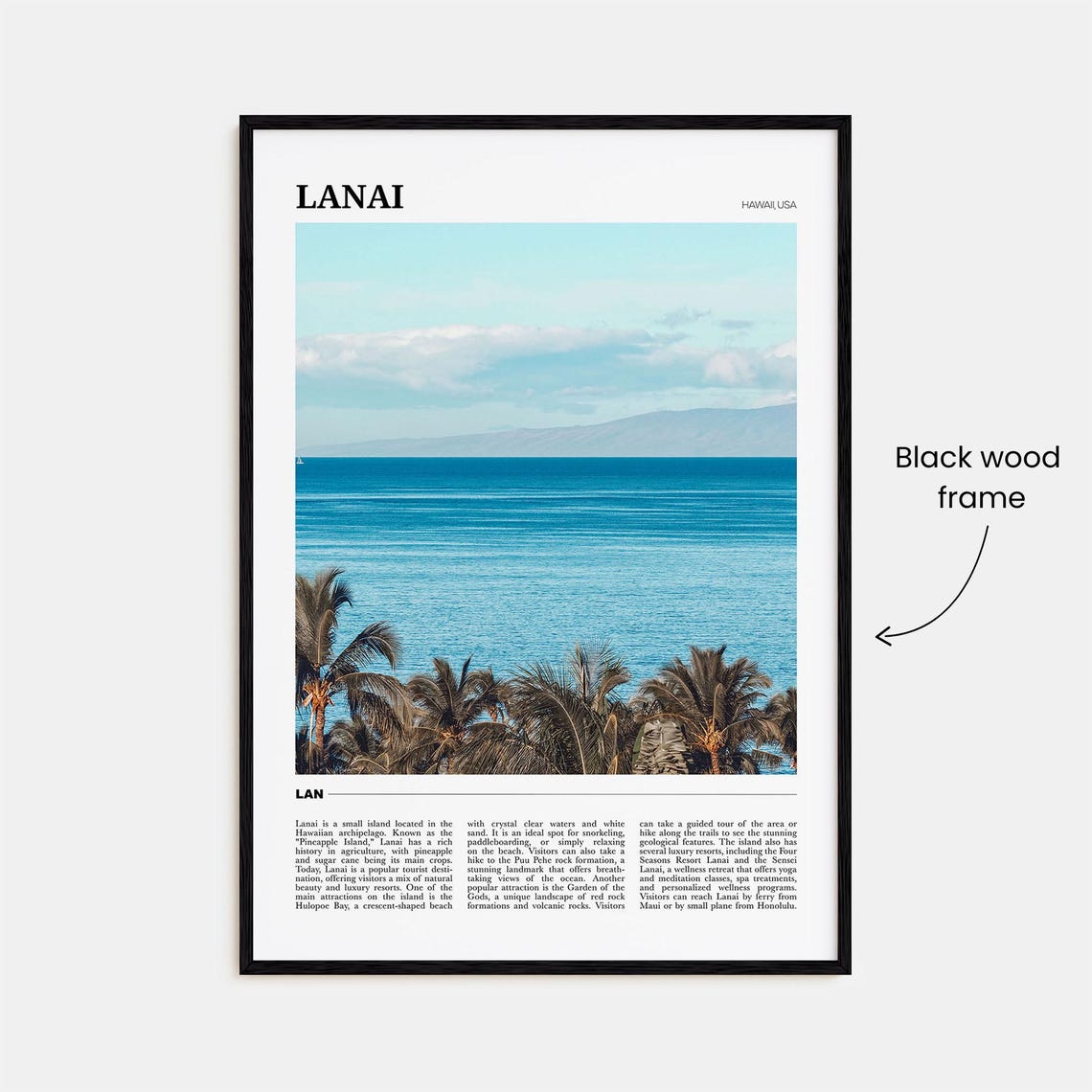 Lanai Hawaii Tropical Ocean Palms Pineapple Island Travel Poster - Image 2