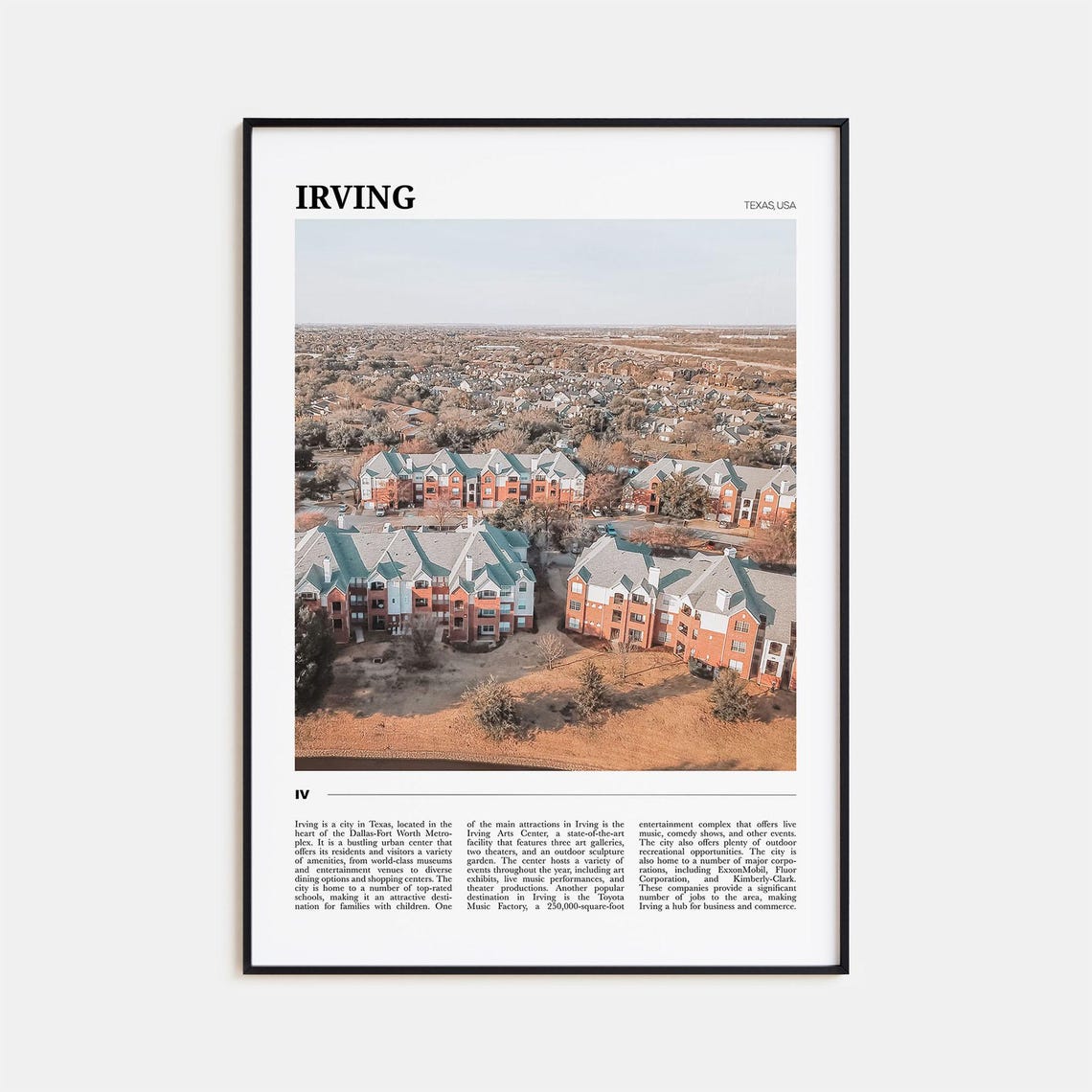 Irving Texas USA Suburban Panoramic Neighborhood Aerial View Poster