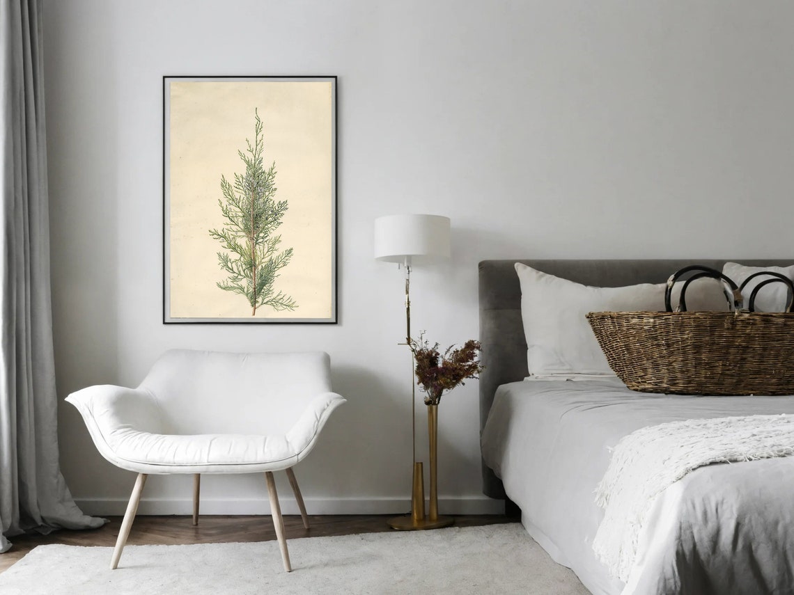 Vintage Cypress Sprig Botanical Study Cream Herbarium Art Poster - Image 8