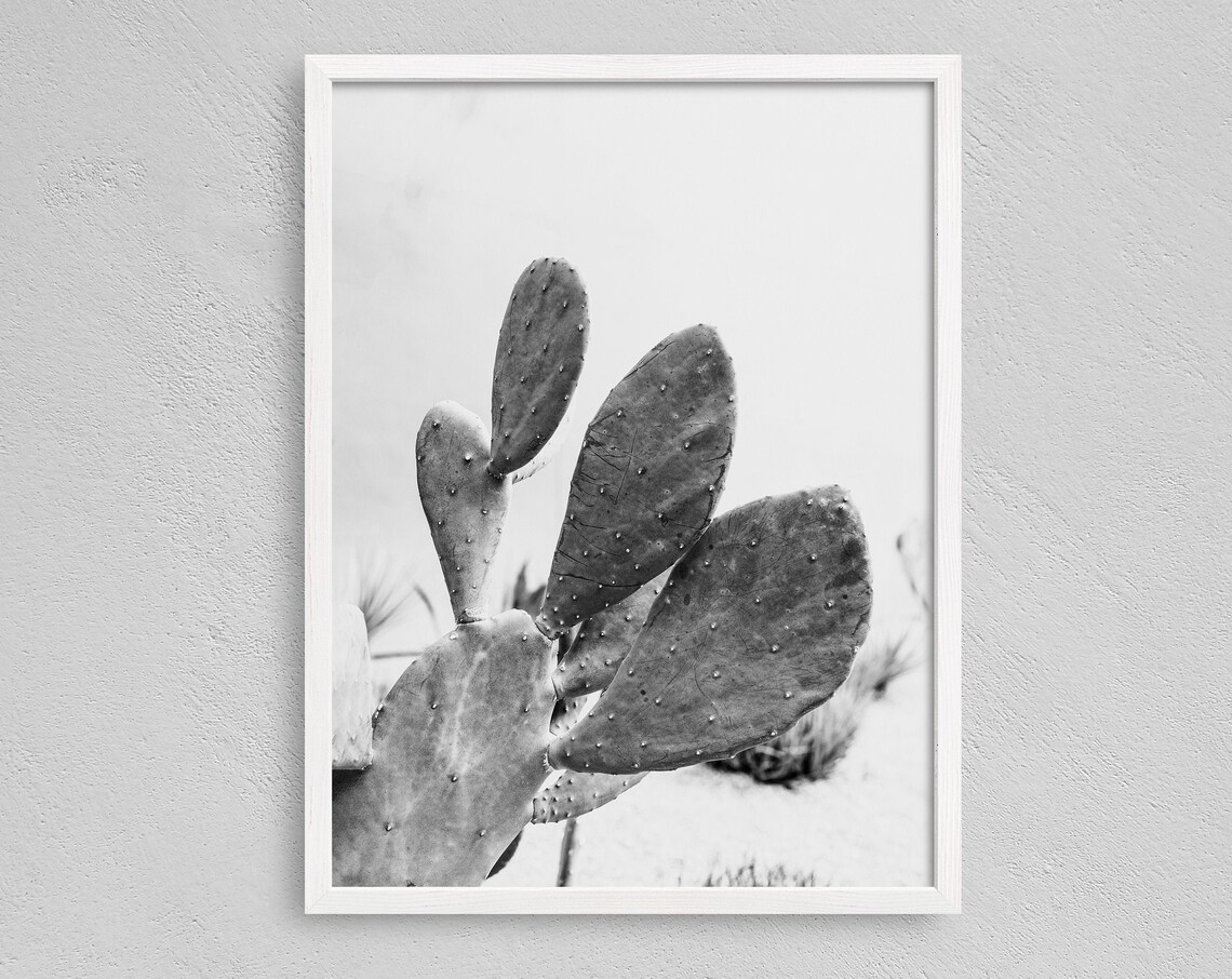 Cactus Wall Decor, Modern Desert Art Print