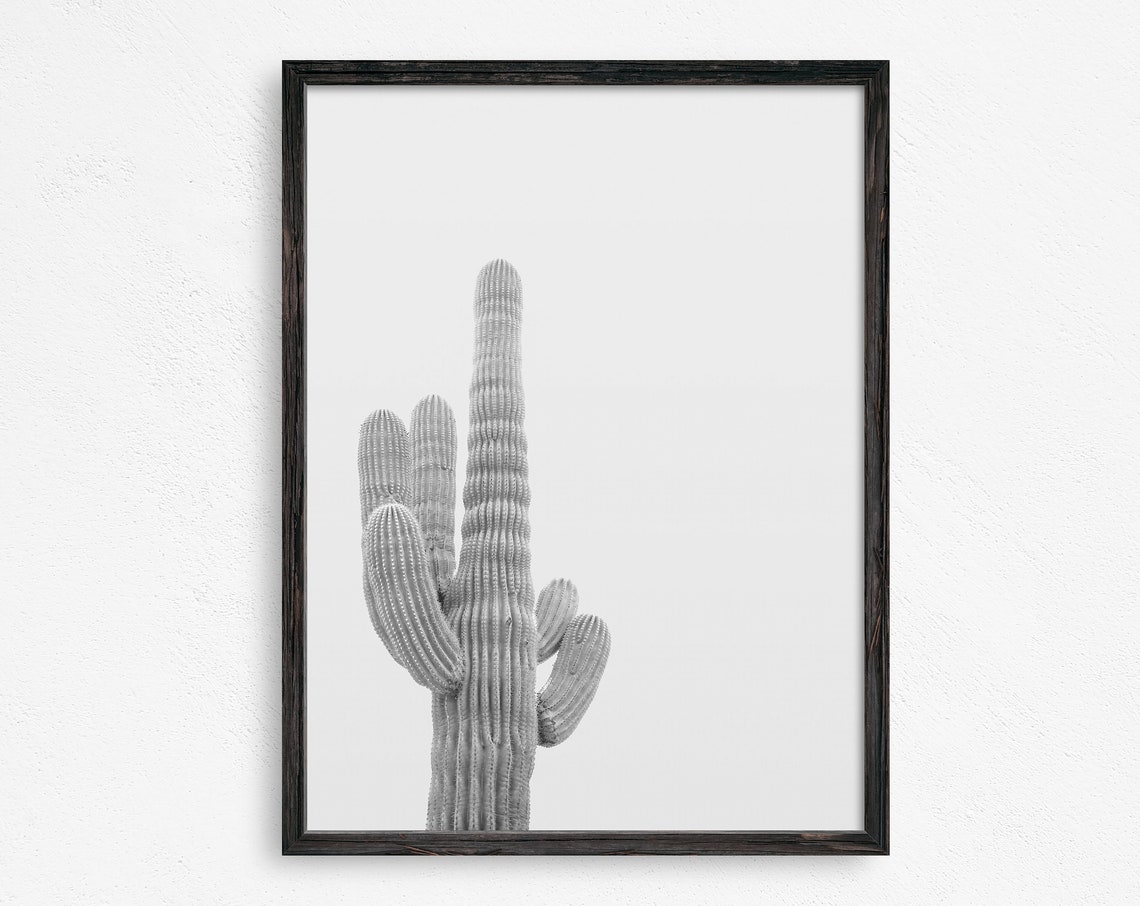 Minimalist Saguaro Cactus White Background Desert Modern Travel Poster