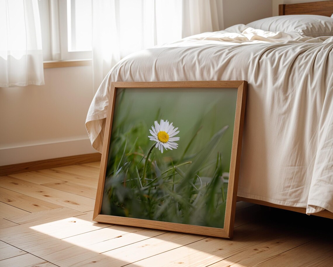 White Daisy Yellow Center Green Meadow Photography Art Poster