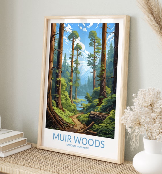 Muir Woods Print No 5 Muir Woods Poster Muir Woods Wall Art Muir Woods Art Print National Monument Muir Woods Travel Gift California