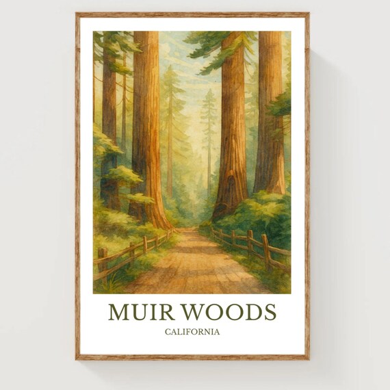Muir Woods California Giant Redwood Forest Watercolor Poster