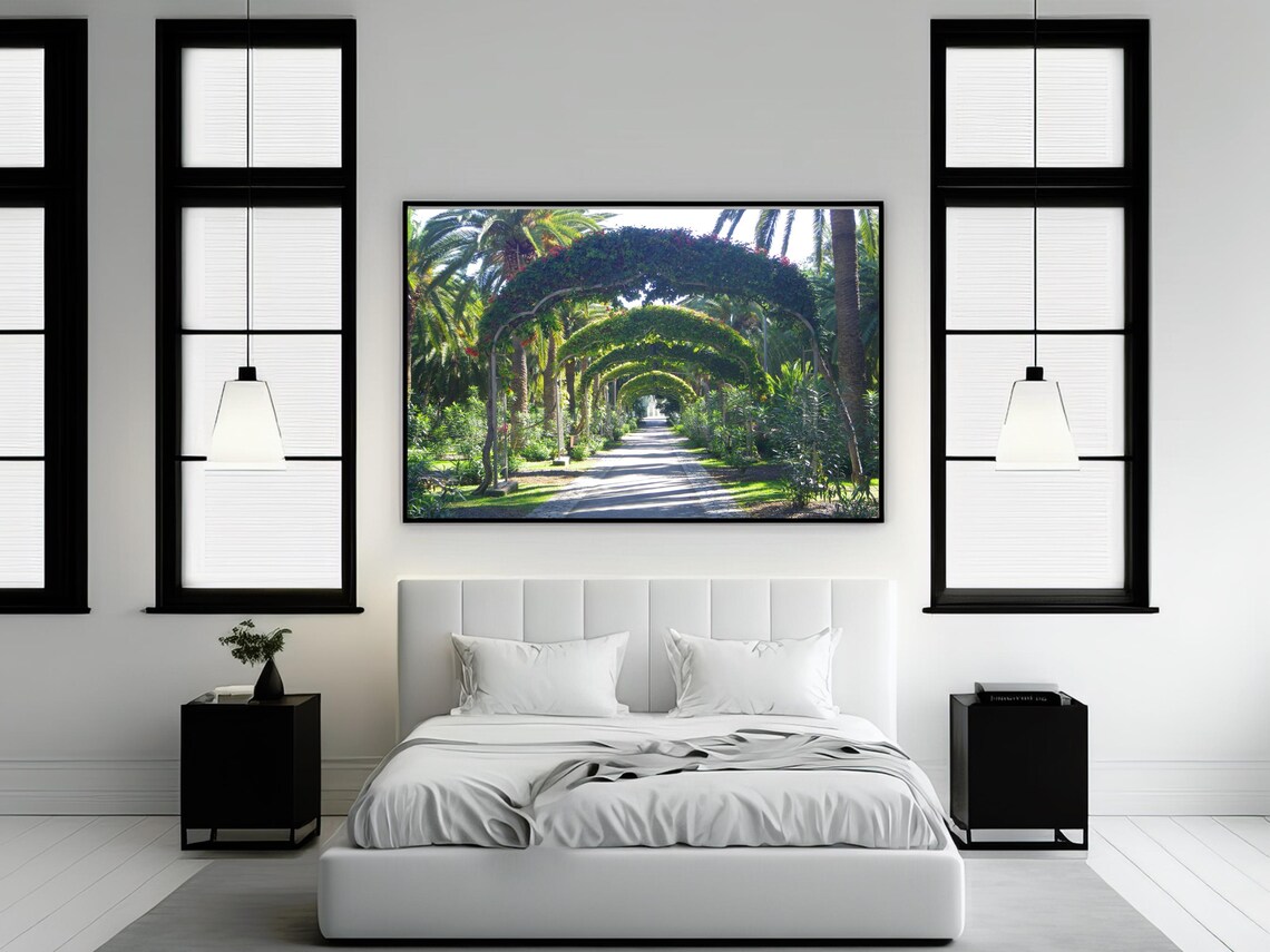 Park Alley Archway Photography, Tenerife Canary Islands - Image 2