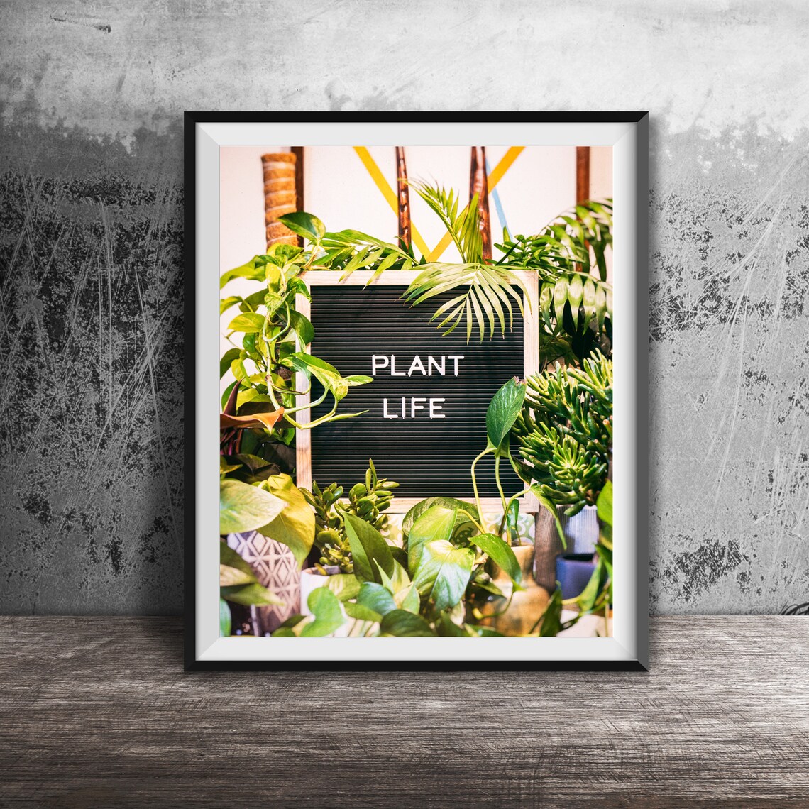 Plant Life Letter Board Lush Houseplants Jungle Photo Poster