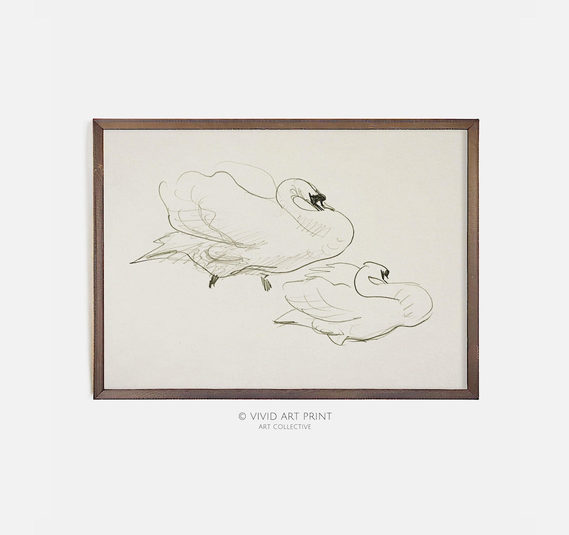 Minimalist Swan Sketch, Graceful Bird Art Print