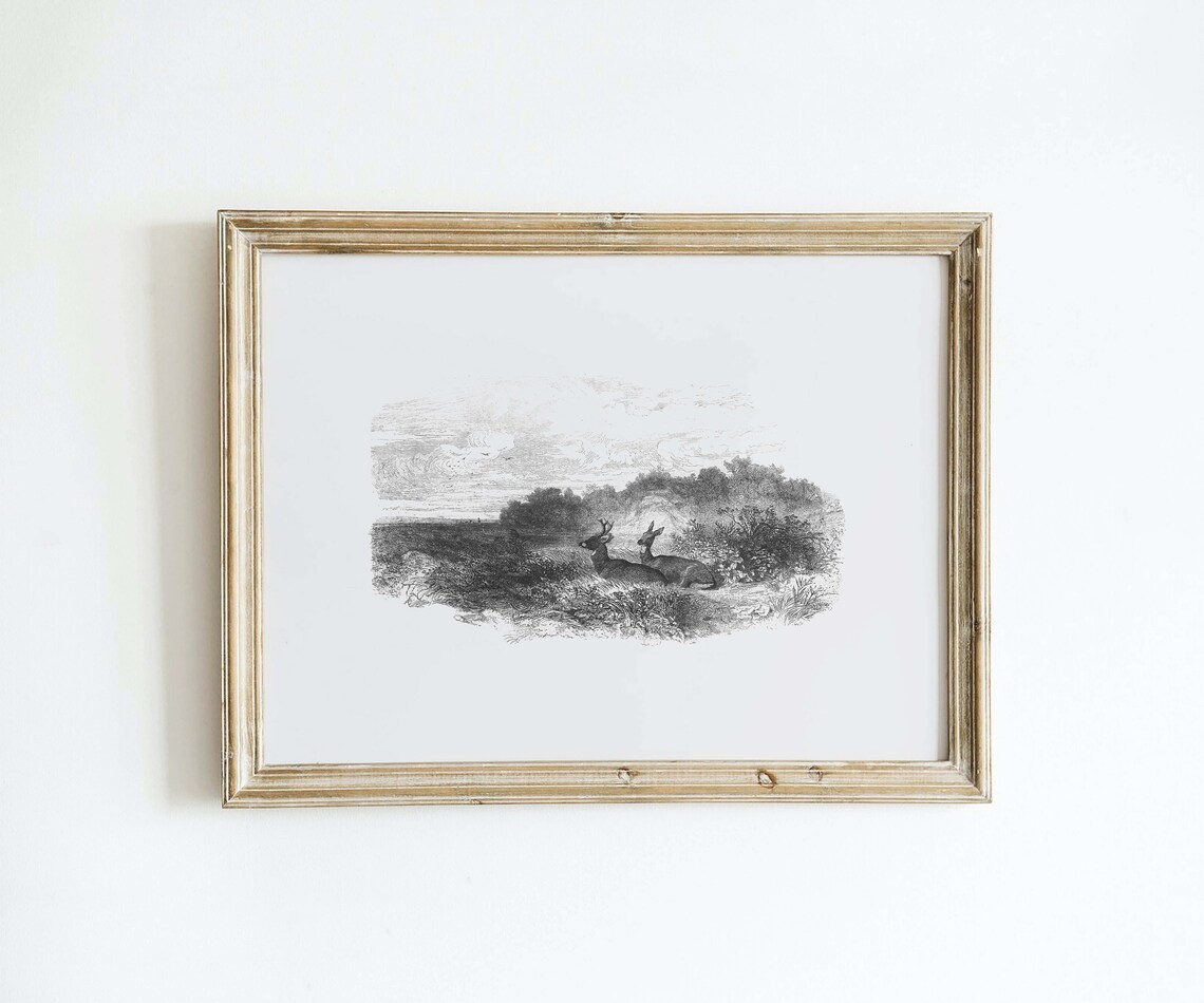 Vintage Deer Sketch, Antique Home Decor - Image 2