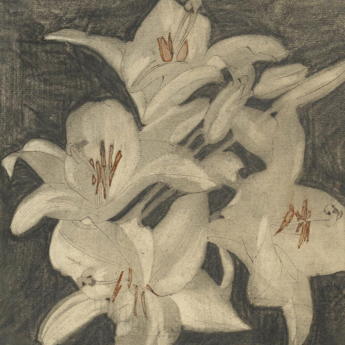 Floral Minimalist Vintage Lily Sketch, Botanical - Image 4