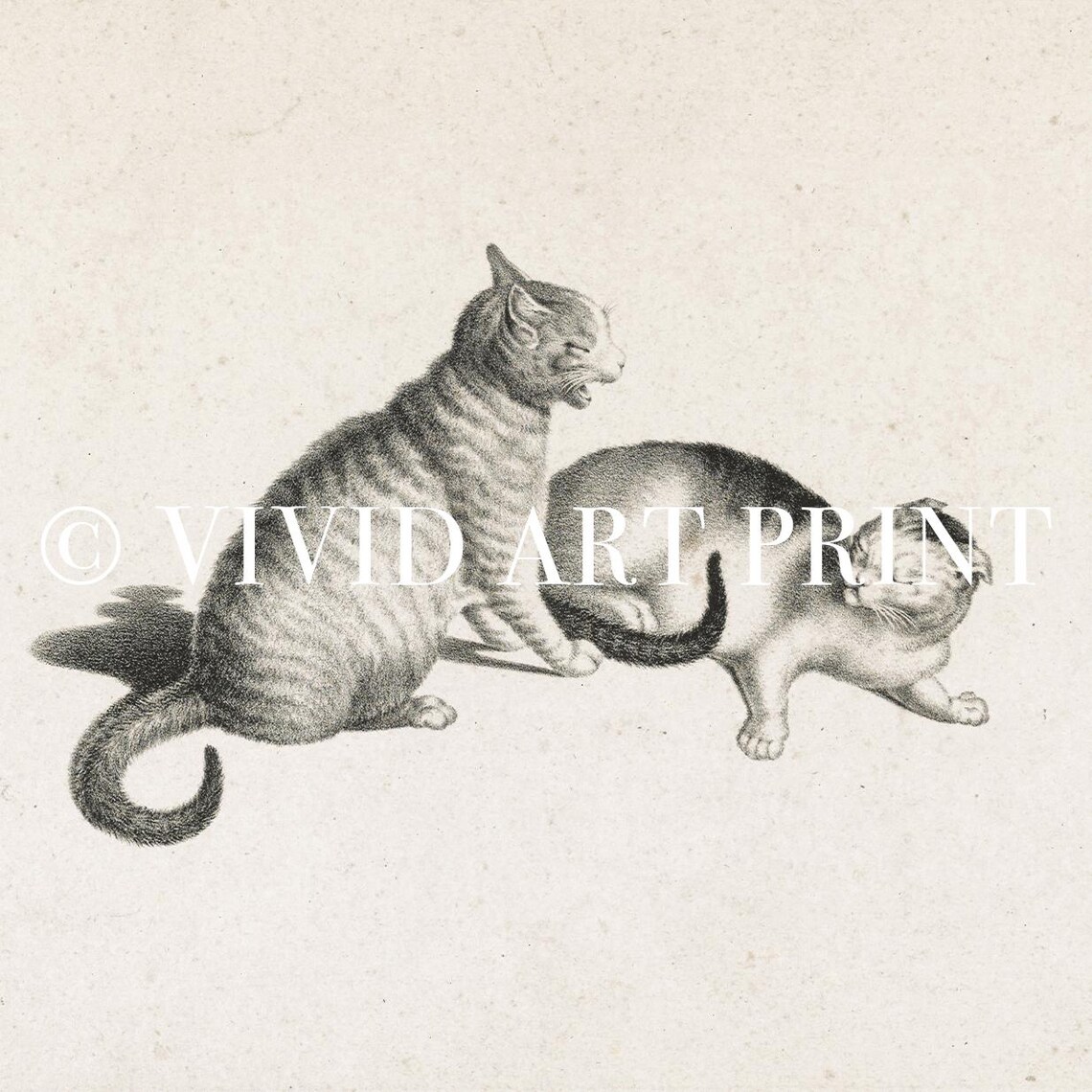Vintage Cats Etching, Classic Feline Wall Art - Image 4