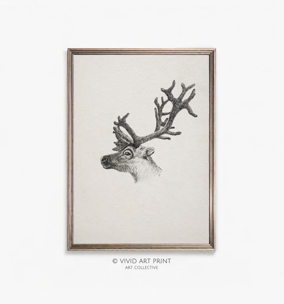 Vintage Young Reindeer Antler Sketch Art Print
