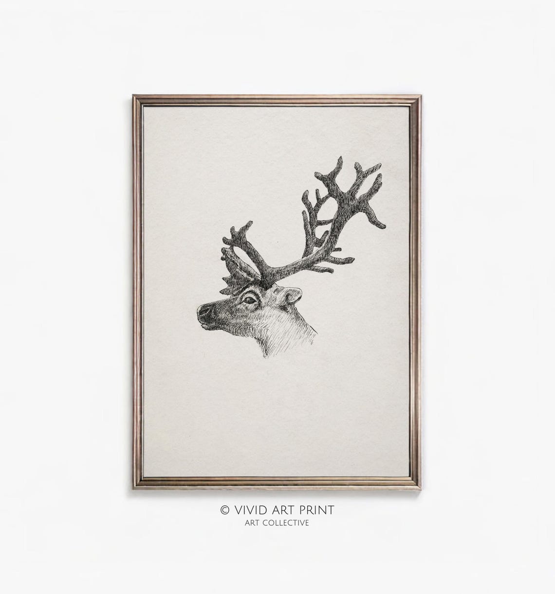 Vintage Young Reindeer Antler Sketch Art Print