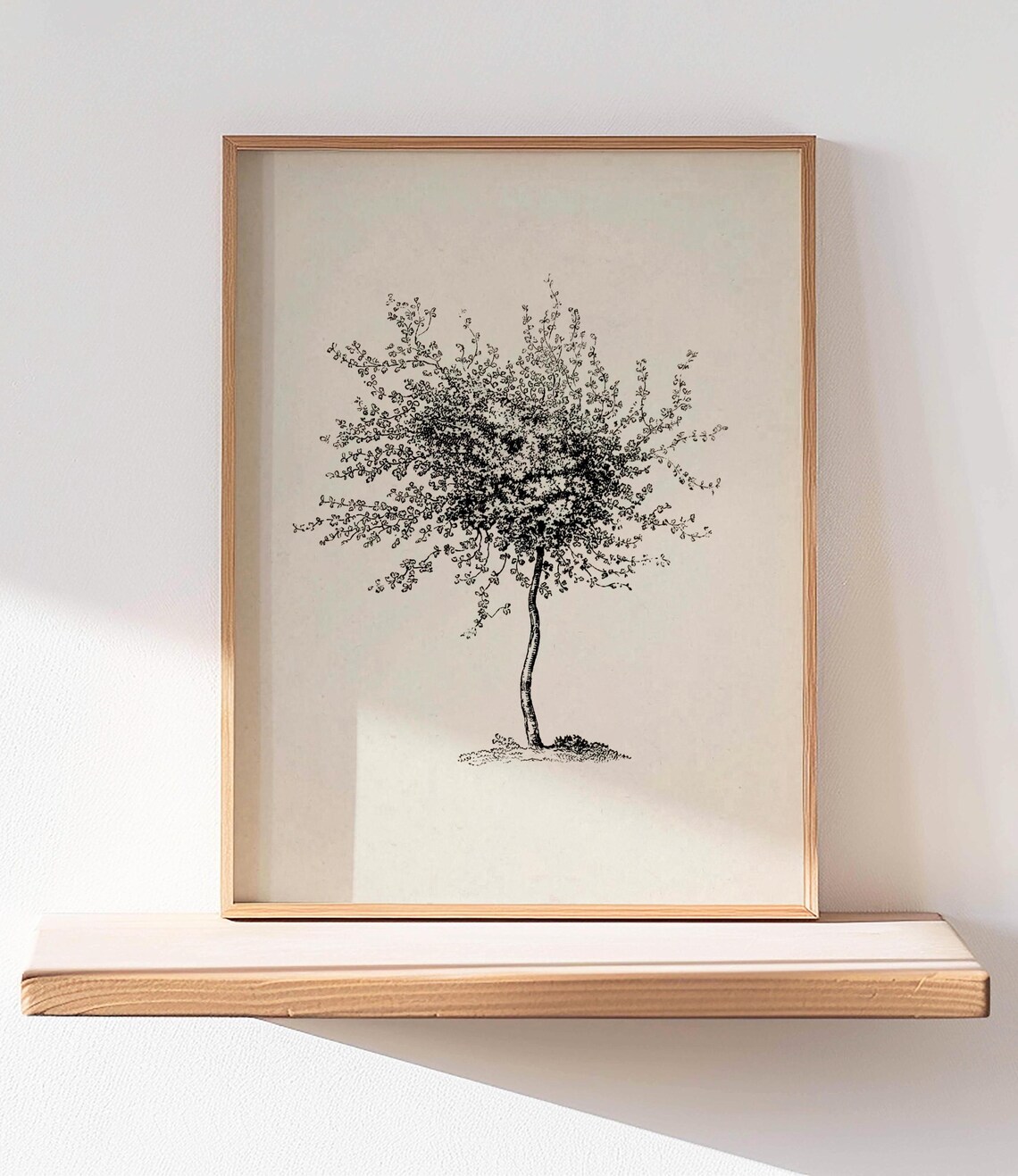 Vintage Botanical Tree Sketch, Elegant Drawing - Image 2