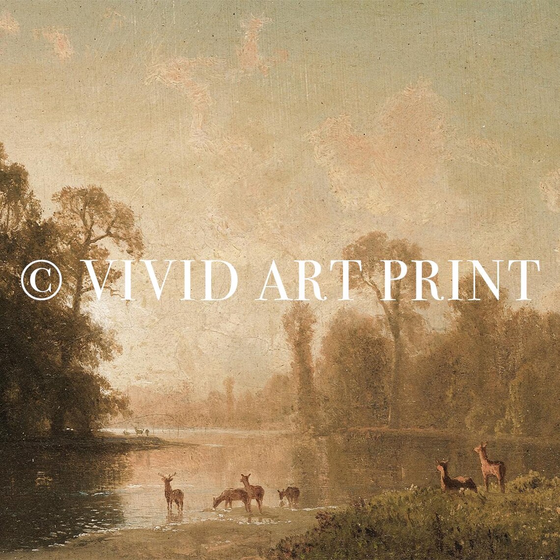 Deer in Tranquil Forest Clearing Antique Wildlife Nature Art Poster - Image 4