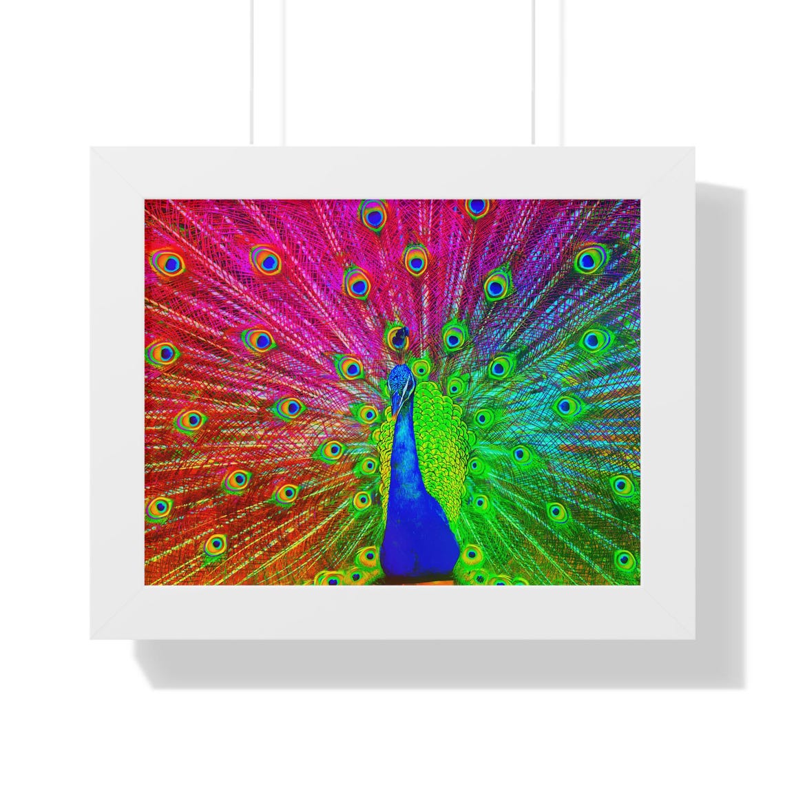 Vibrant Rainbow Peacock Display With Fanned Tail Framed Poster - Image 3
