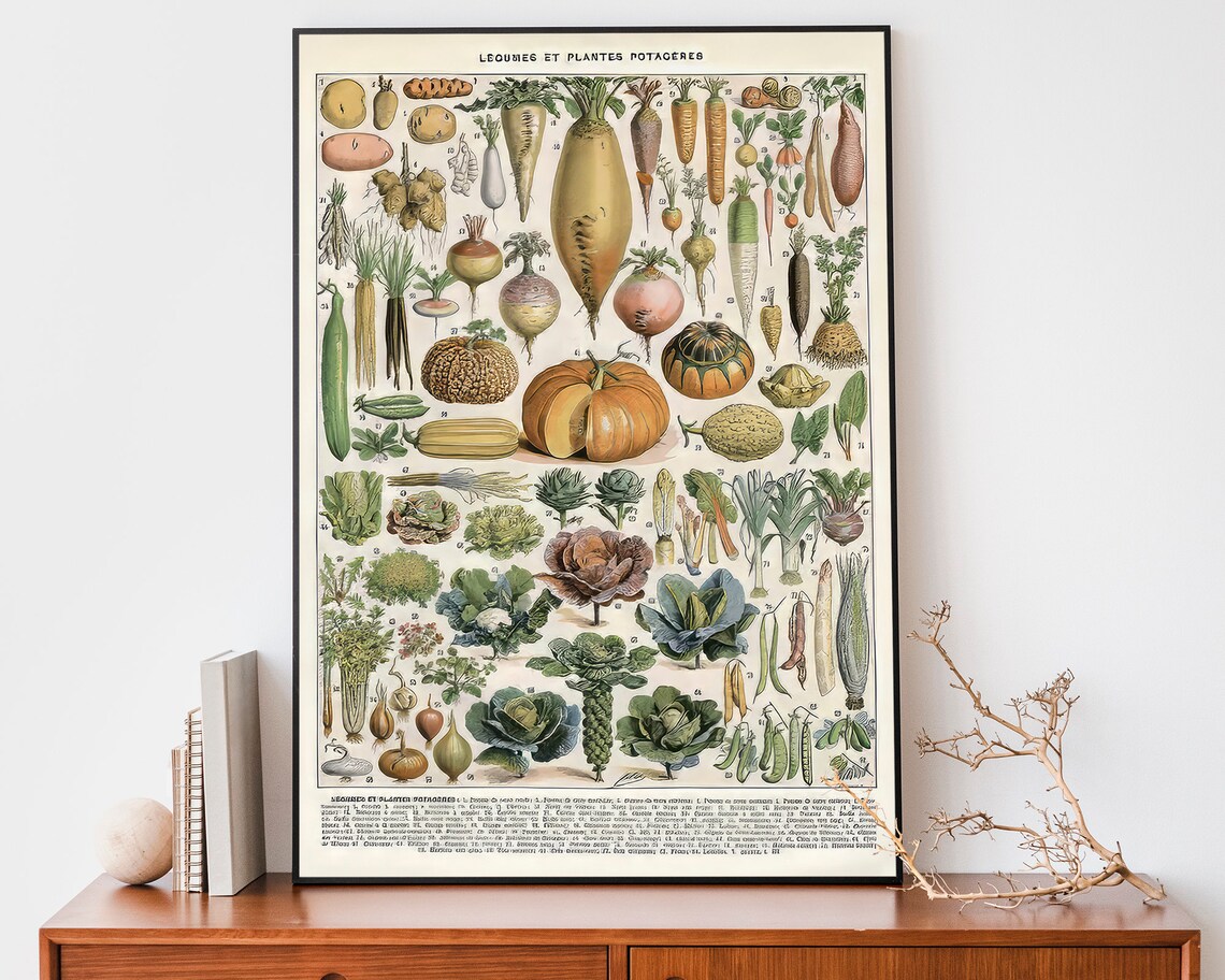 Vintage French Vegetable Chart Légumes Botanical Kitchen Art Poster