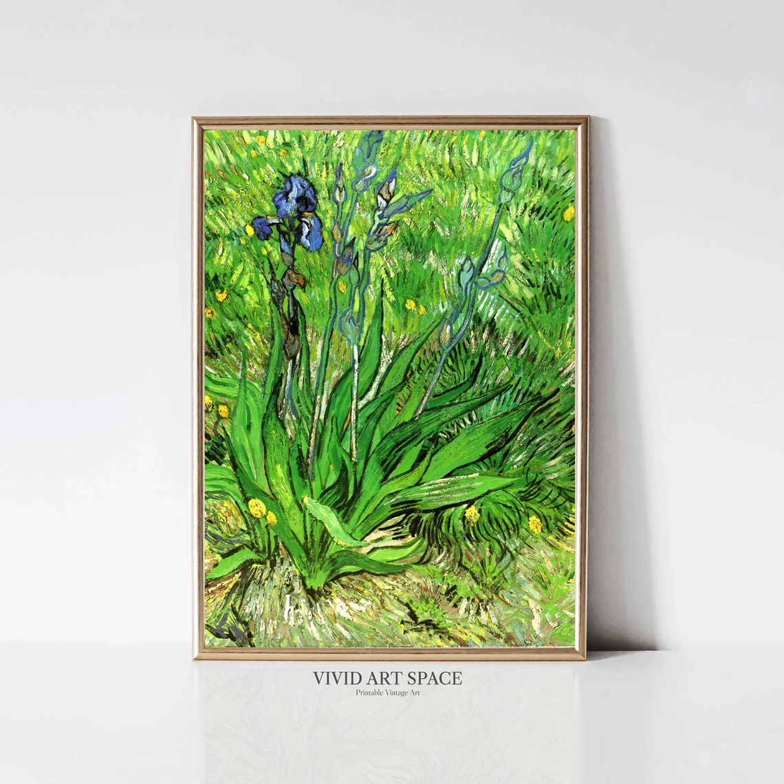 Van Gogh Blue Irises In Green Grass Botanical Painting Poster