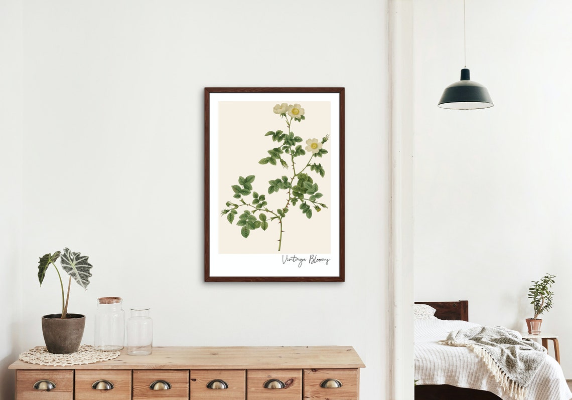 Vintage Blooms White Rose Botanical Antique Wildflower Poster - Image 2
