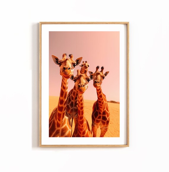 Four Cute Giraffes Desert Sunset Safari Wildlife Photography Poster