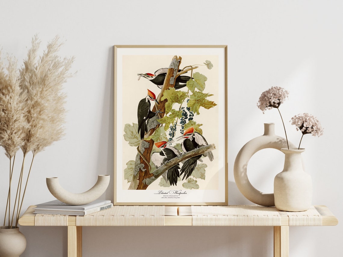 Carolina Parrot Audubon Style Vintage Bird Art Gallery Wall Poster - Image 2