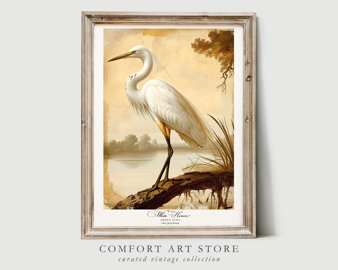 White Heron Bird Print, Vintage Nature Poster