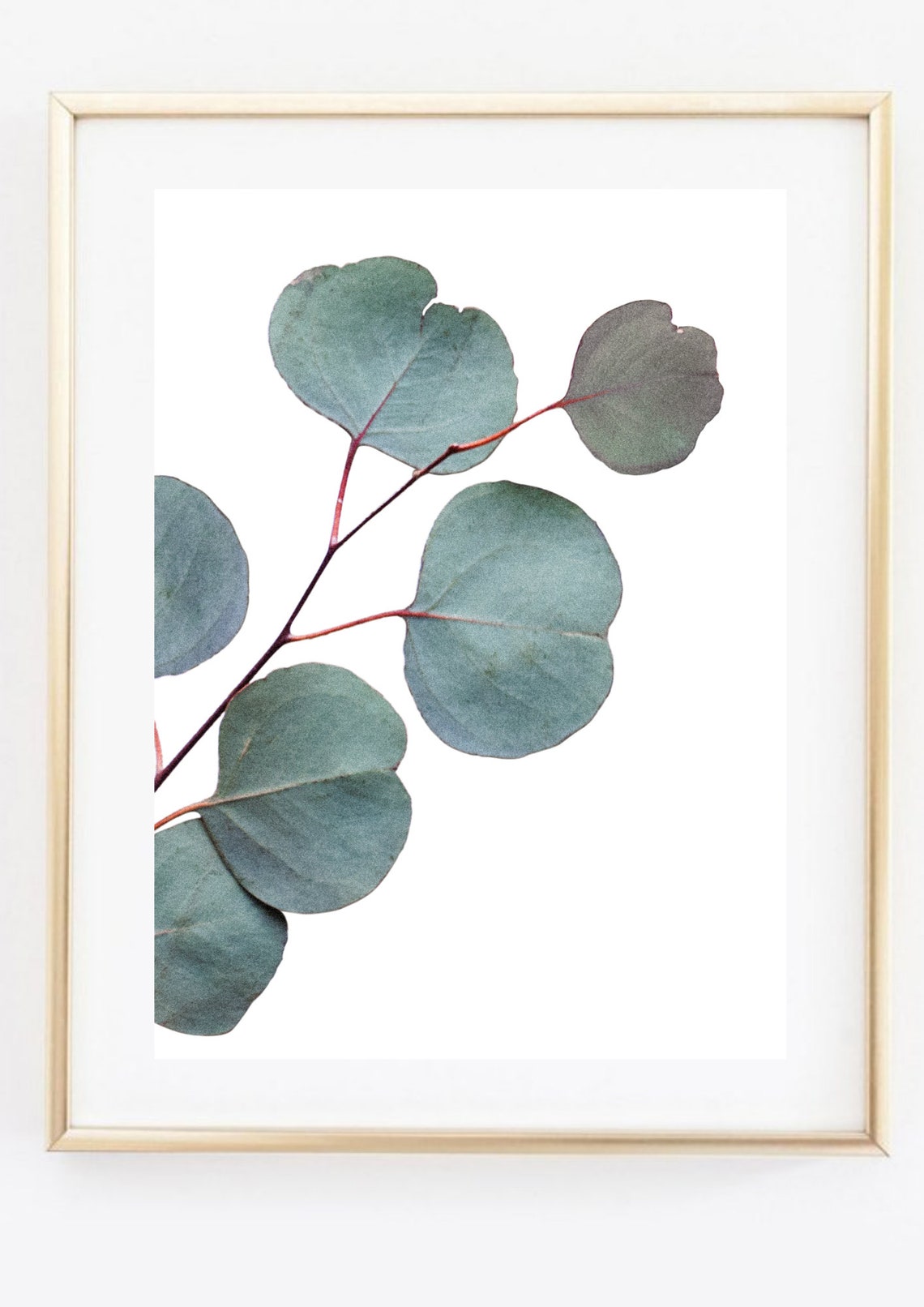 Eucalyptus Branch Minimal Botanical Photo Green Leaves Wall Print - Image 3