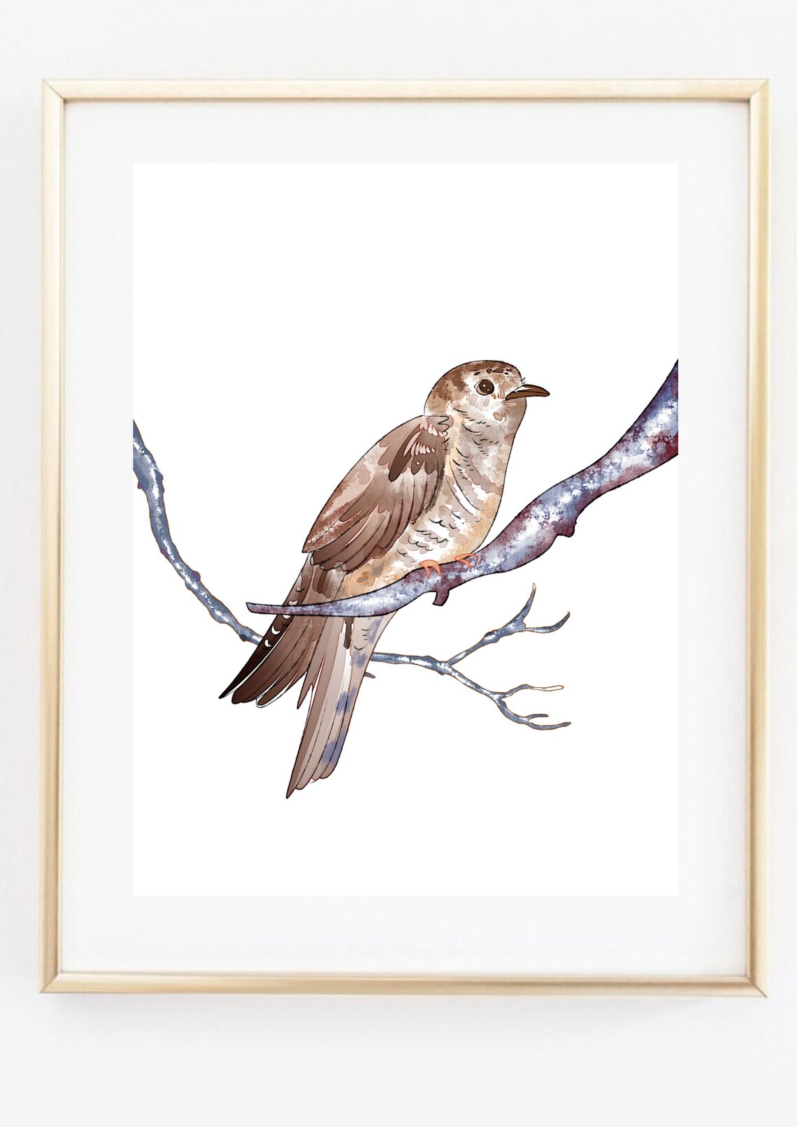 Brown Cuckoo Bird Perched on Branch Watercolor Nature Art Print - Image 3