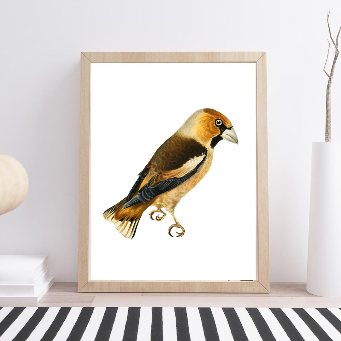 Hawfinch Bird Vintage Ornithology Illustration Wildlife Art Print - Image 3