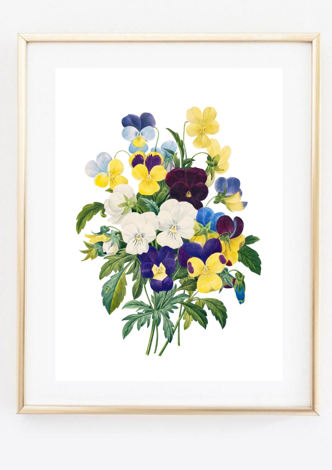 Vintage Pansy Bouquet Yellow Purple White Retro Botanical Art Print