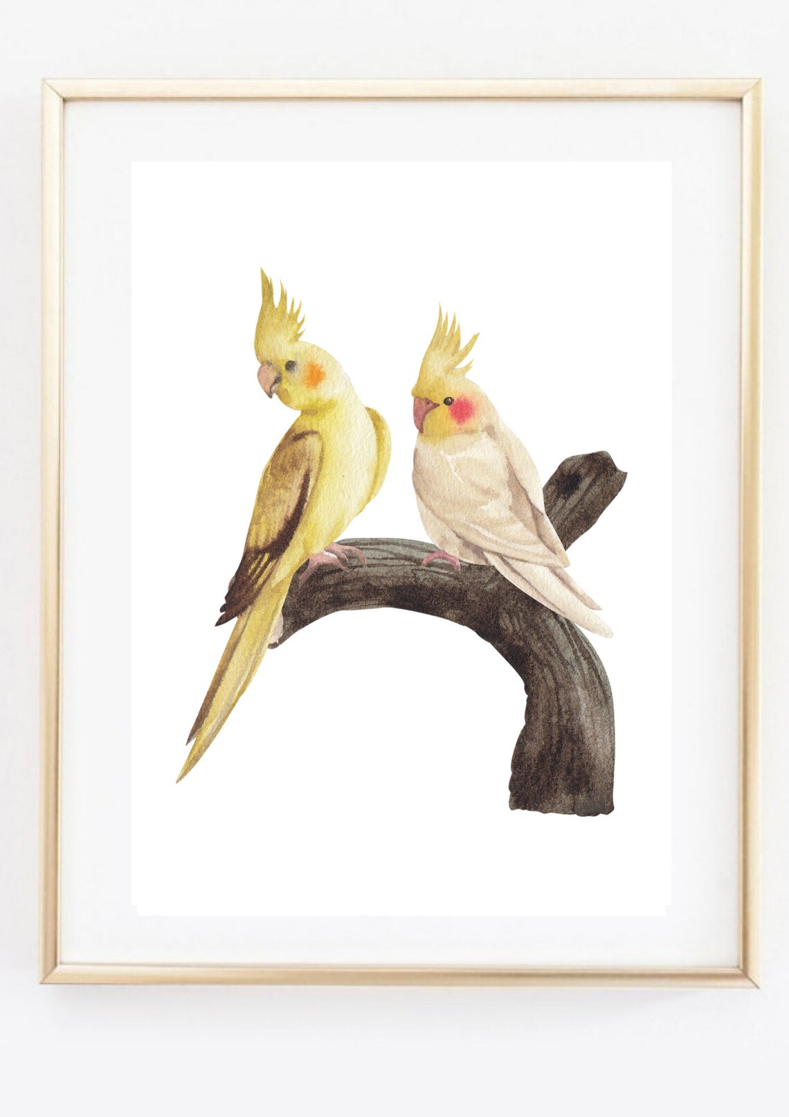 Yellow Cockatiel Parrot Pair on Branch Watercolor Bird Art Print - Image 3