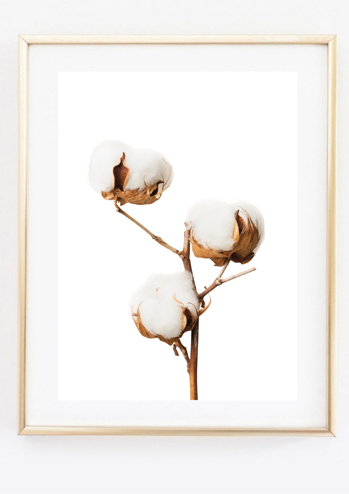 White Cotton Bolls Branch On White Minimalist Nature Photo Print - Image 2