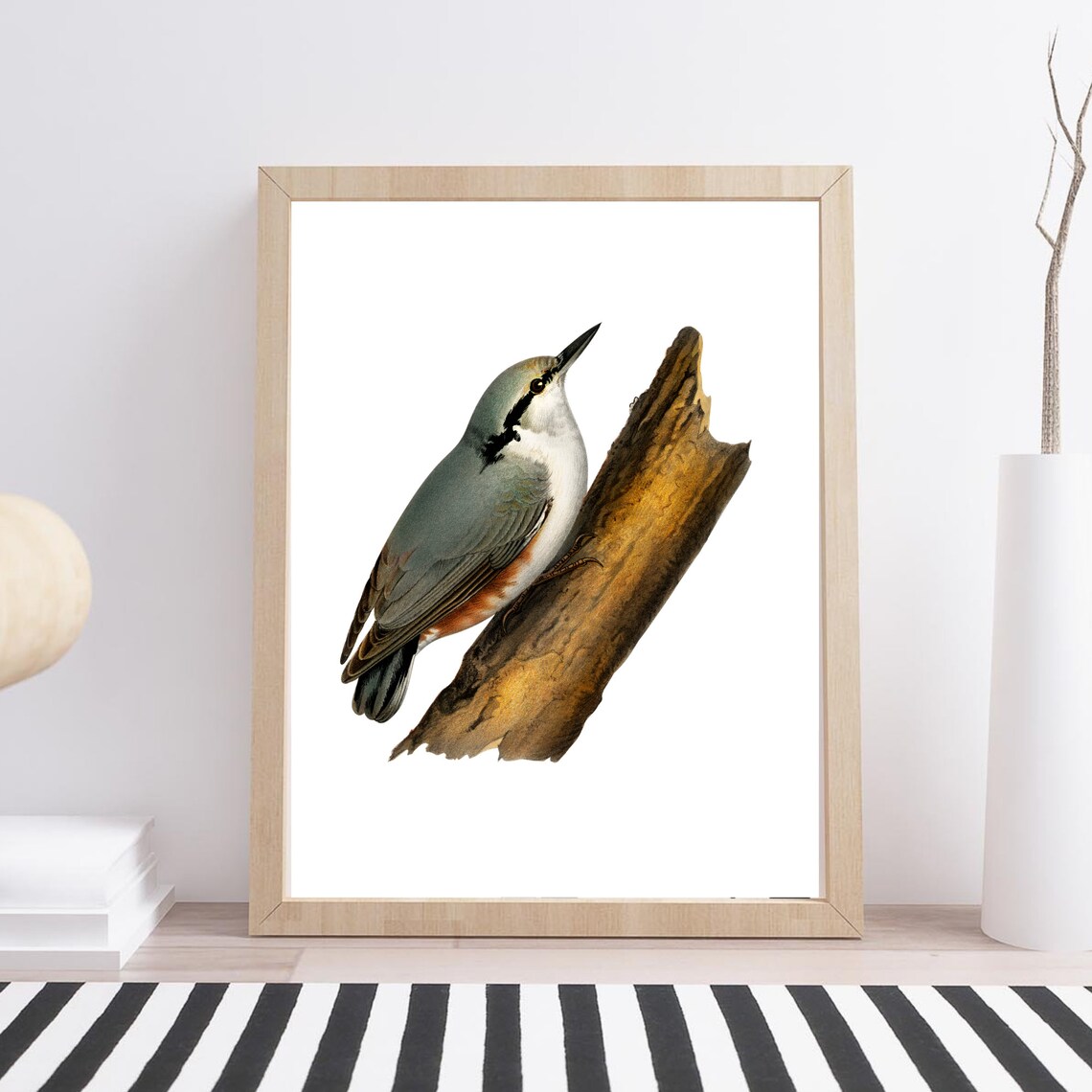 Eurasian Nuthatch Bird Vintage Natural History Illustration Poster - Image 3