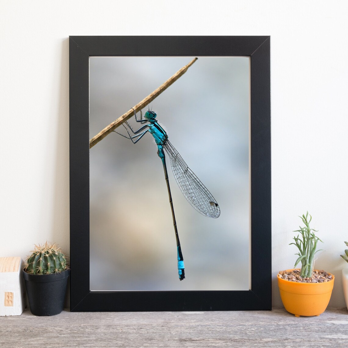 Din A4 Art Print Without Frame Blue Dragonfly Dragonfly Photo Art Nature Print Poster Image