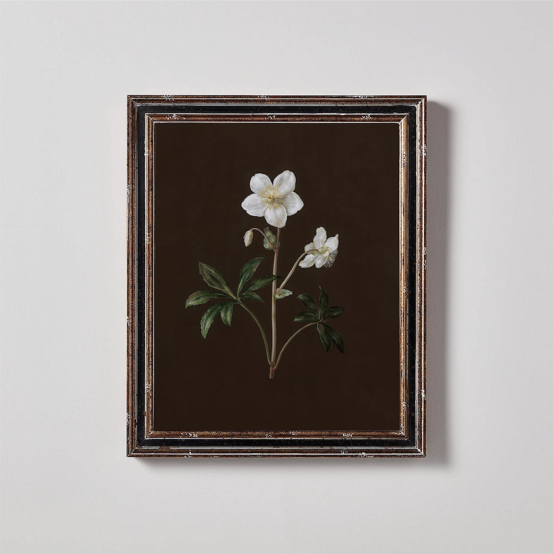 White Hellebore Blossoms On Dark Brown Vintage Dark Academia Floral Poster - Image 3