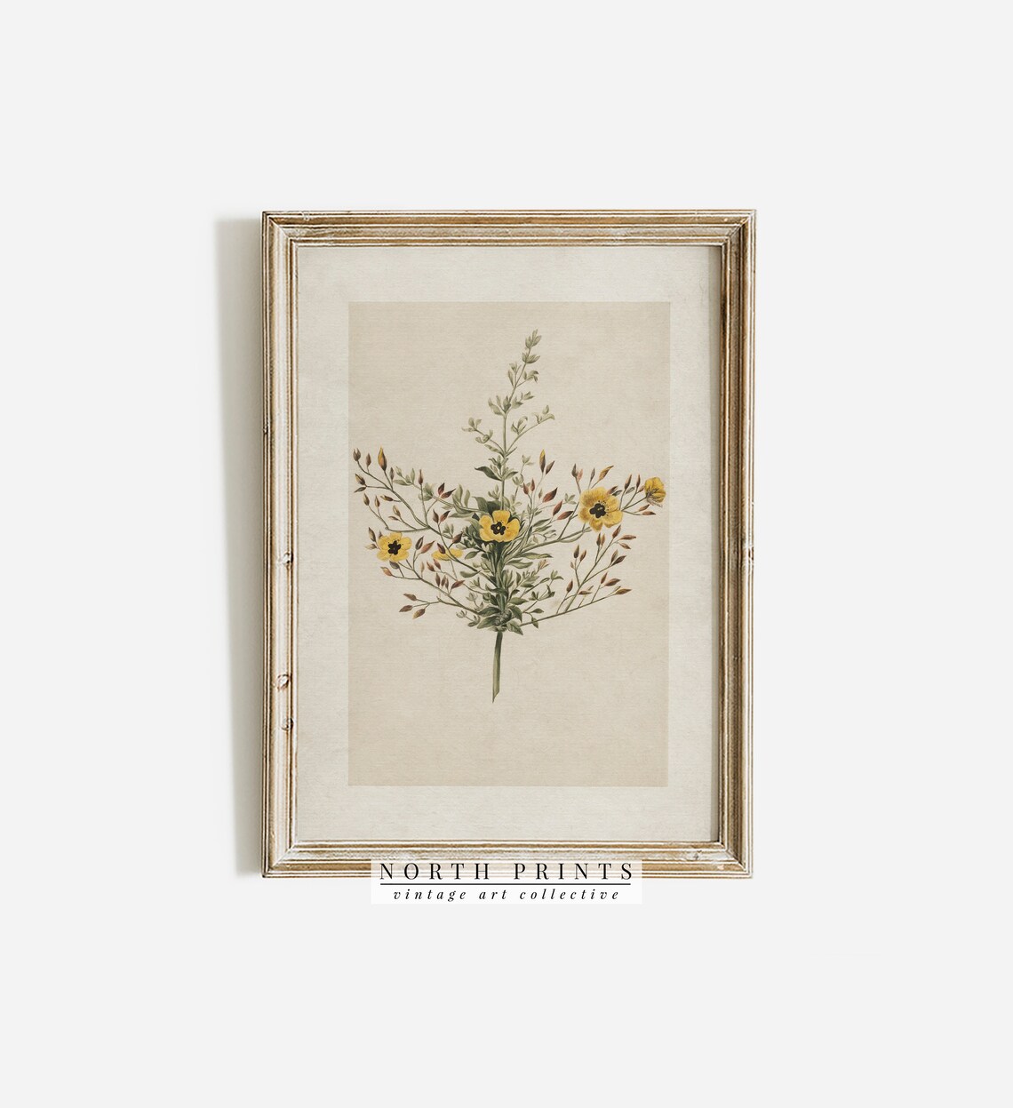 Yellow Wildflower Botanical Vintage Floral Illustration Art Poster - Image 2