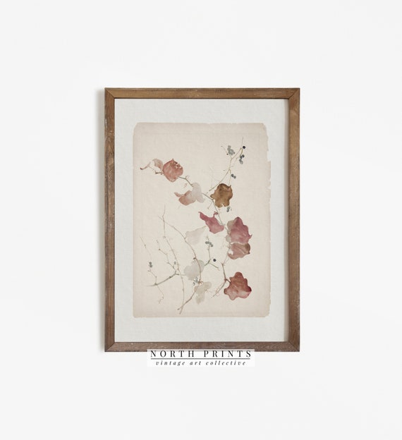Antique Botanical Vine Art, Vintage Farmhouse Print
