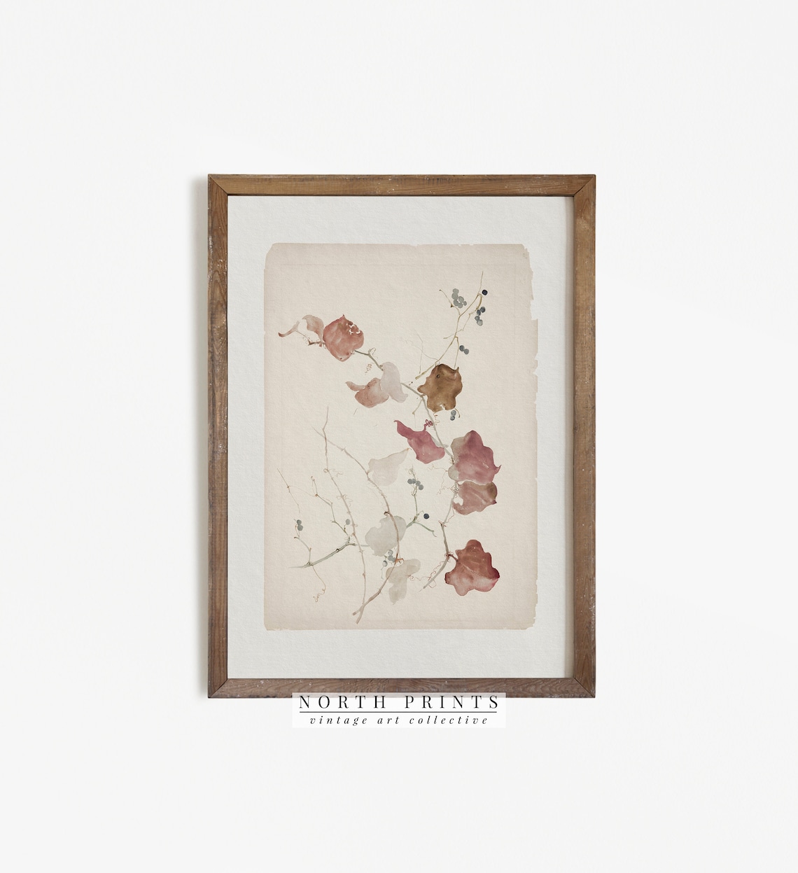 Antique Botanical Vine Art, Vintage Farmhouse Print