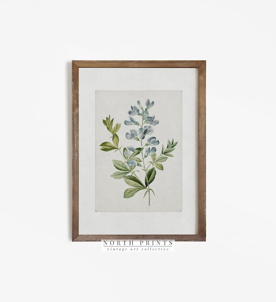 Farmhouse Botanical Blue Flower Watercolor Art Print