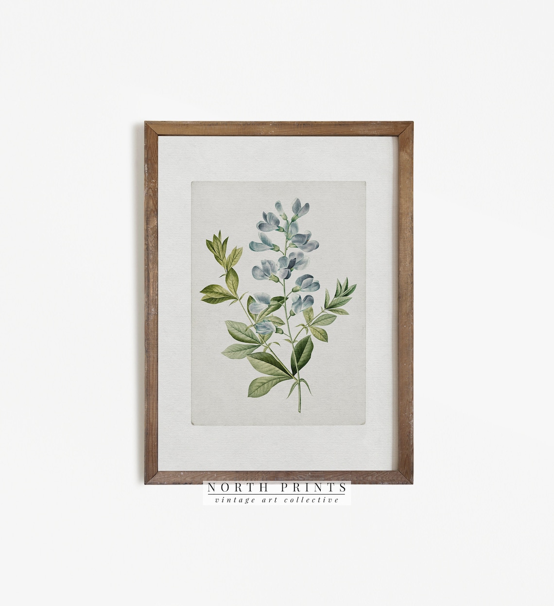Farmhouse Botanical Blue Flower Watercolor Art Print