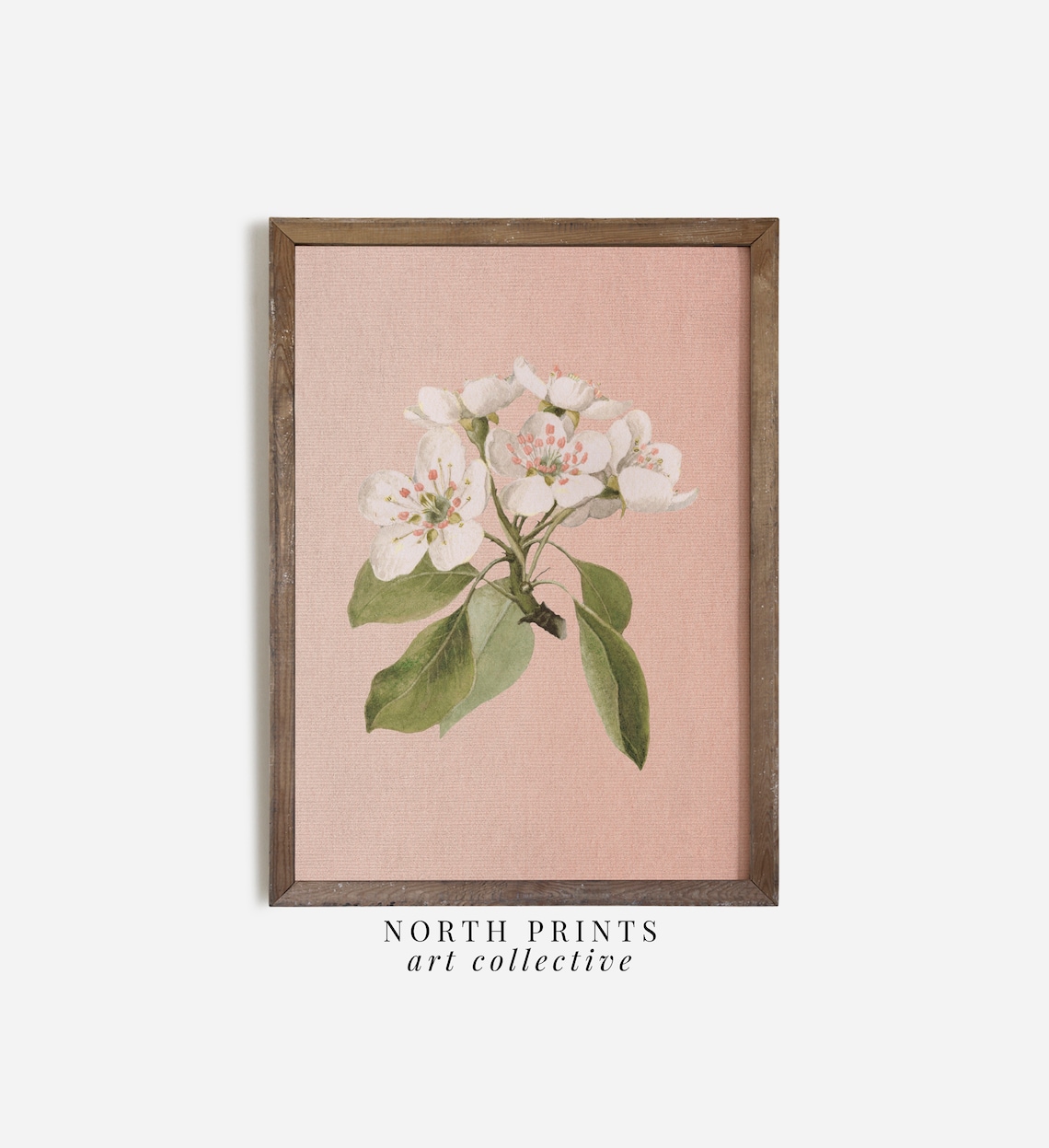 White Blossom Coral Pink Floral Vintage Botanical Girls Room Poster - Image 3