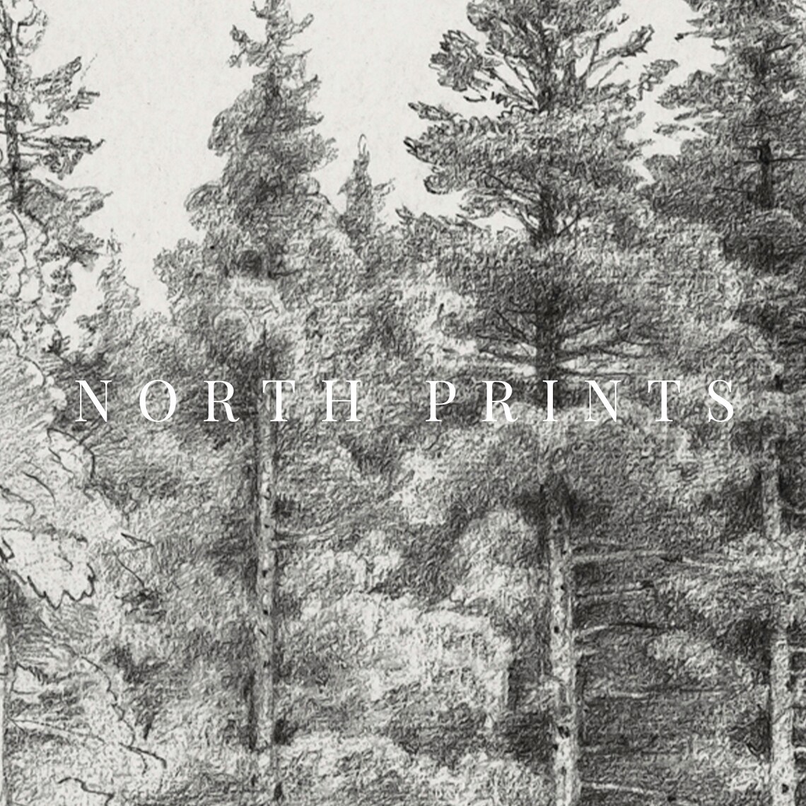 Vintage Neutral Pine Tree Sketch Art Print - Image 2