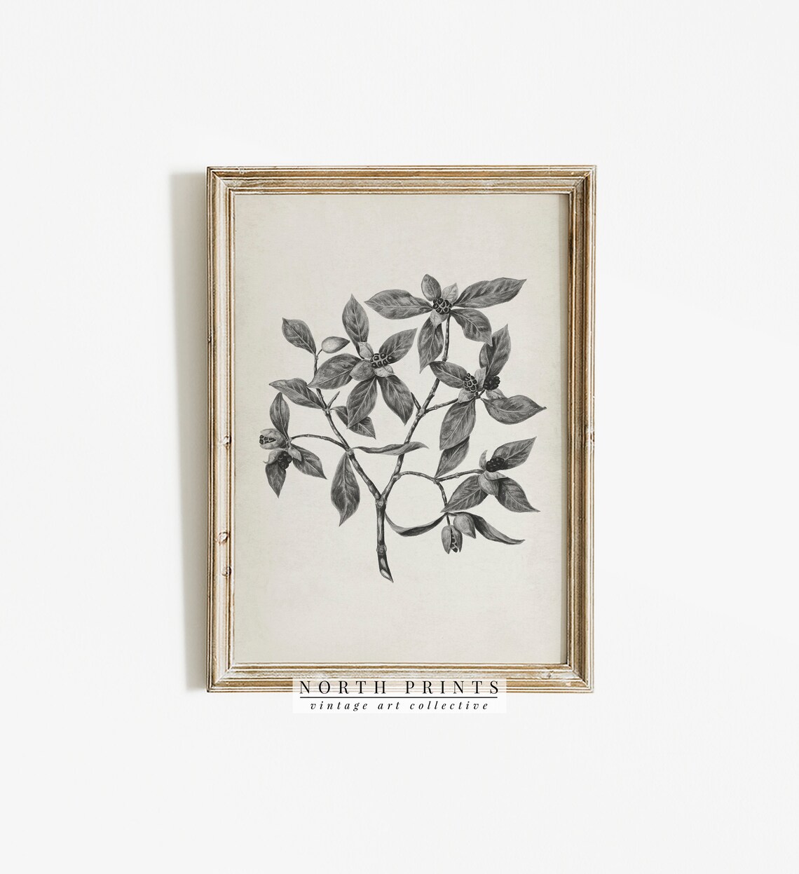 Black White Berry Branch Botanical Drawing Vintage Plant Sketch Print - Image 3