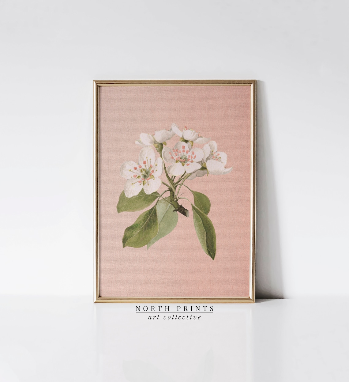 White Blossom Coral Pink Floral Vintage Botanical Girls Room Poster