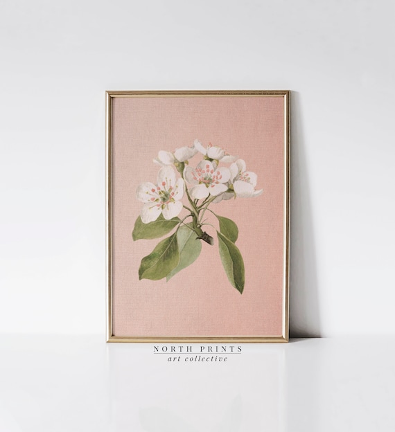 Botanical Wall Art Girls Room Decor Soft Coral Pink Instant Wall Art North Prints 7 130