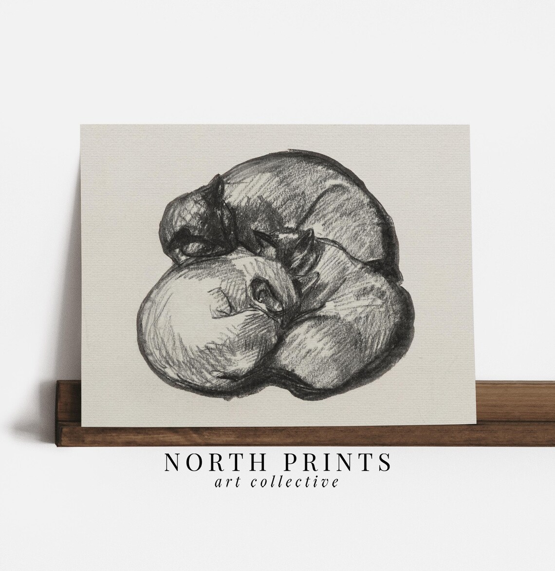 Sleeping Cat Charcoal Sketch Vintage Curled Feline Drawing Neutral Wall Print