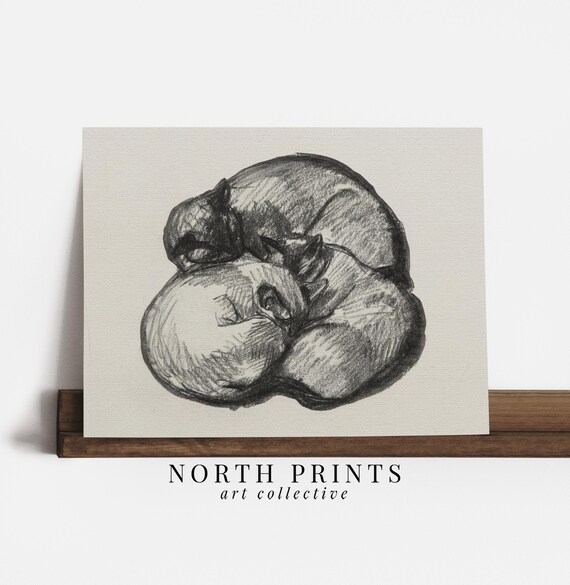 Sleeping Cat Charcoal Sketch Vintage Curled Feline Drawing Neutral Wall Print