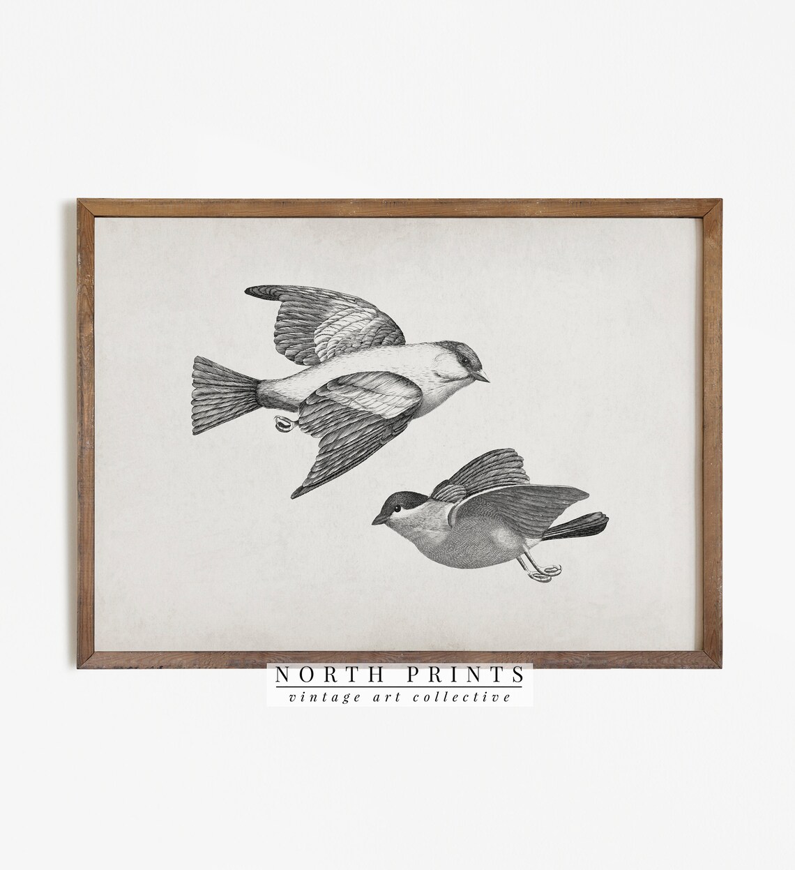 Antique Birds In Flight Engraving Vintage Bird Illustration Print - Image 4